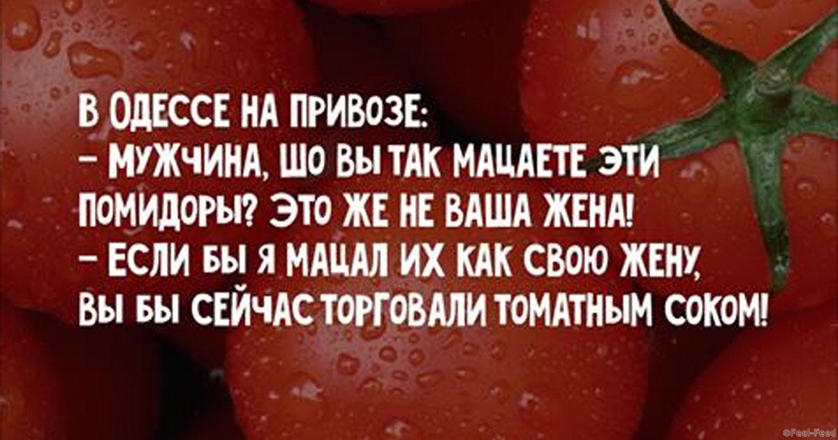 Ваши жены. Помидор юмор. Шоб вы так жили анекдоты в картинках. Шутки Привоза. Анекдоты про привоз в Одессе.